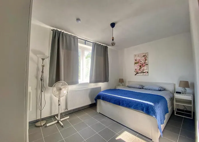 Case de vacanță River House - Luxury House On The Border Of The Tisza River *